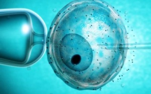 1/3 số trẻ sinh ra nhờ ống nghiệm có nguy cơ ung thư sớm