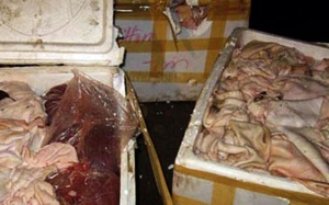 Phát hiện xe khách chở hơn 1 tấn nội tạng bốc mùi hôi thối