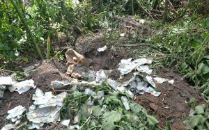 Sẽ khai quật chất thải tại Nicotex Thanh Thái trong 26 ngày