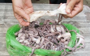 Thực phẩm giả - mù mờ trách nhiệm?