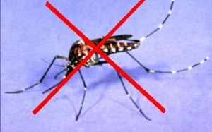 Châu Á - Thái Bình Dương: lập Liên minh chống bệnh sốt rét