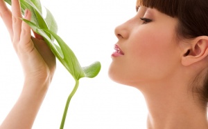 Làm đẹp từ... bì heo!