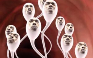 Chăm tập luyện, gia tăng 'tinh binh'