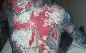 Rước họa khi tự ý sử dụng thuốc Nam