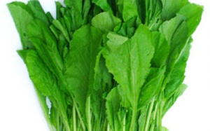 Ăn cải xanh chữa bệnh