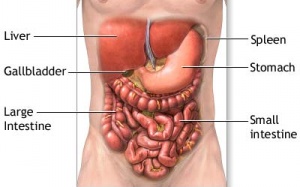Lào Cai: Cứu sống bệnh nhân đa chấn thương, vỡ lách