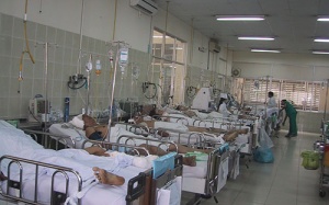 Cảnh báo ngộ độc thuốc diệt cỏ Paraquat