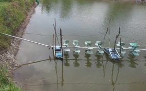 Tai nạn 'chỗ hiểm' vì máy sục khí nuôi tôm