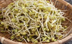 Cải thiện 'bản lĩnh đàn ông' bằng giá đỗ