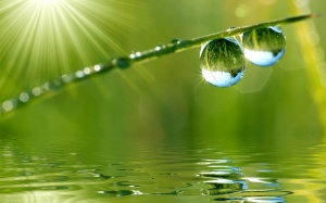 Bình tâm để nuôi dưỡng 'hạnh lắng nghe'
