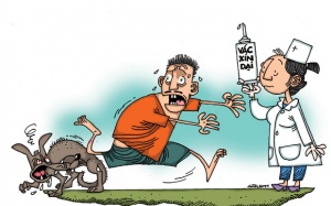 Cứ 10 phút lại có 1 người chết vì...bệnh dại