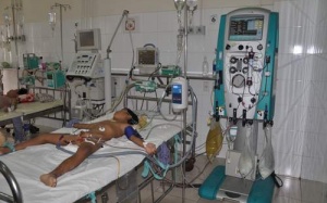 Bé 7 tuổi bị ong vò vẽ đốt được cứu sống