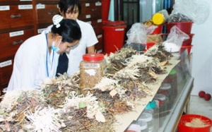 Tăng cường kiểm tra chất lượng thuốc YHCT