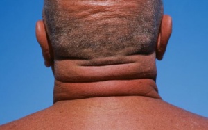 Kích thước vòng cổ phản ánh 'năng lực' nam giới