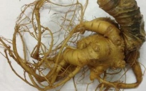 8 loại đặc sản Việt Nam lập kỷ lục châu Á