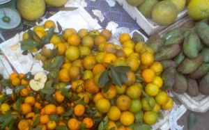 'Cam Vinh' xuất xứ Trung Quốc?!