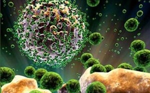 Anh tìm cách phá 'vỏ bọc vô hình' của virus HIV