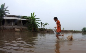 Rộn ràng mùa rươi