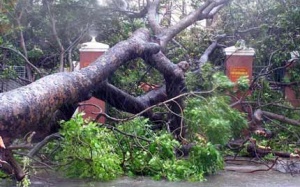Tổng kết bão HaiYan: 14 người chết, 4 người mất tích và 82 người bị thương