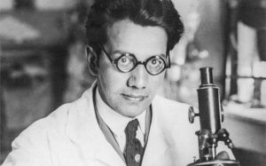 Thần y cứu thế