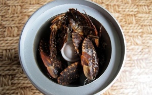 Những phương thức làm đẹp 'kinh dị' từ gián, ốc sên, rệp