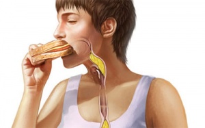 Những sự thật bất ngờ về hệ thống tiêu hóa