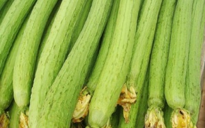 Mướp: Đẹp da, lợi sữa, trị viêm xoang...