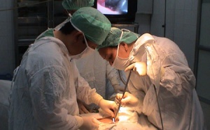 Hành trình tìm kiếm 'thiên chức' làm cha mẹ