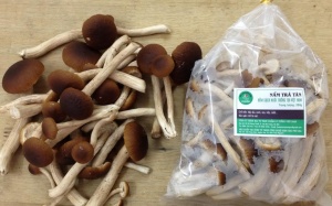 'Tôi yêu nấm Việt' khuyến mại đặc biệt