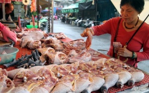 Hà Nội: Chưa phát hiện gà thịt có phẩm màu kiềm và sắt 'vượt ngưỡng'