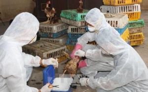 USAID trao tặng 4.000 bộ trang phục bảo vệ cán bộ thú y