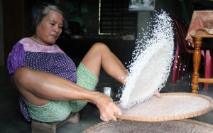 Mưu sinh mỗi ngày nhờ sàng gạo bằng chân