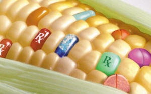 Những thực phẩm tiềm năng cho tương lai