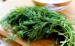 Thì là không chỉ 'cặp kè' món tanh