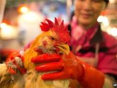 Hong Kong xác nhận ca nhiễm H7N9 đầu tiên