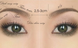 8 phát hiện về lông mày