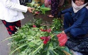 Trường hợp nào không nên xông lá?