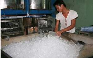 TP.HCM: 100% mẫu nước đá nhiễm vi khuẩn, trực khuẩn mủ xanh