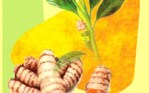 Ứng dụng công nghệ nano vào sản xuất dược phẩm