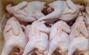 Lại phát hiện quýt, thịt gà nhiễm độc