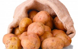 Lựa chọn dinh dưỡng cho trẻ gầy