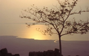 Vợ… về chiều