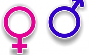 Những khác biệt thú vị giữa nam và nữ