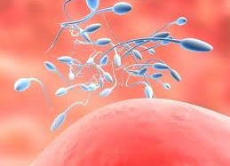 Đo ROS để biết tinh binh có còn 'tốt'