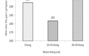 Khẩu phần ăn của trẻ em Việt Nam mất cân đối