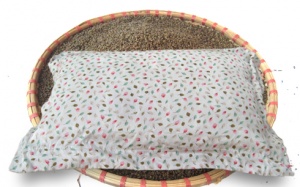 Dùng gối vỏ đỗ tùy tiện có thể làm trẻ tổn thương