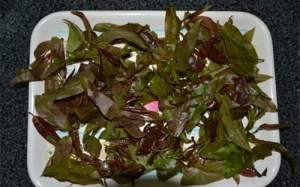 Rau ngành ngạnh tốt cho tiêu hóa