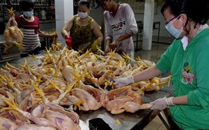 Hà Nội phát hiện gần 130 vụ vi phạm an toàn thực phẩm