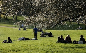 Vitamin D tự nhiên giúp chống lại bệnh đa xơ cứng