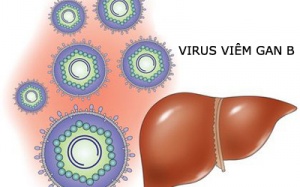 15% - 20% dân số nhiễm viêm gan B không có triệu chứng